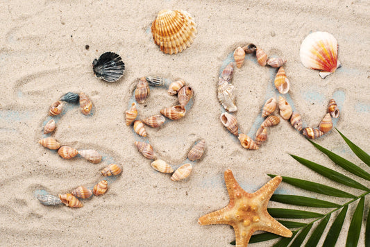 Beachcomber’s Paradise: 5 Best U.S. Beaches for Finding Seashells