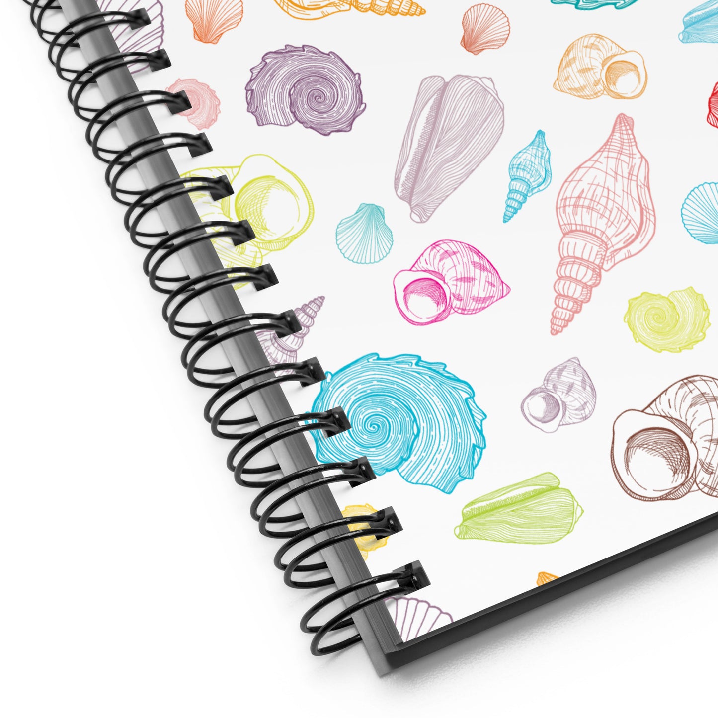 Coastal Colors Notebook    Shellarium.